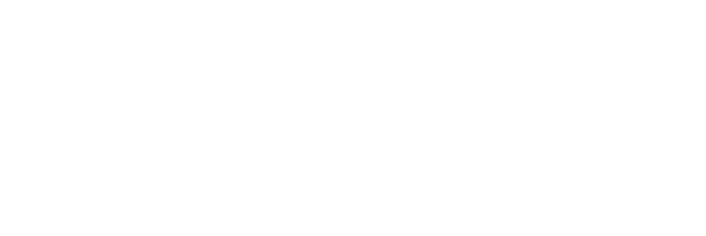 Express Livraison